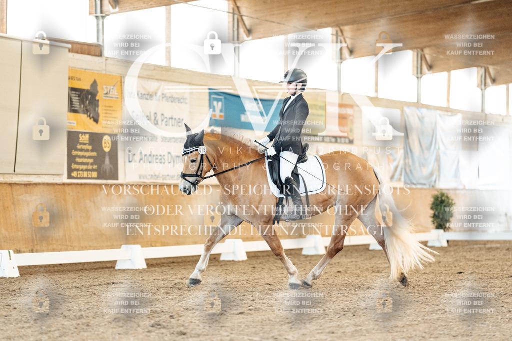 CK907104 | Turnierfotografie Pferdefotografie Trier Rheinland-Pfalz Pferdesport Reitsport Tierfotografie Sportfotografie Pferdevideo Pferdevideografie Equestrianvideography equestrianphotography  - Realisiert mit Pictrs.com