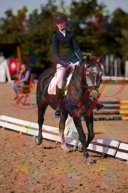 2026_10_03_Siefer-Hof_120028_Z81_02332374 | Professionelle Reitsport-, Turnier- und Eventfotografie von Robert Broda. Galerien mit ausgewählten und bearbeiteten Bildern direkt online ansehen und bestellen.