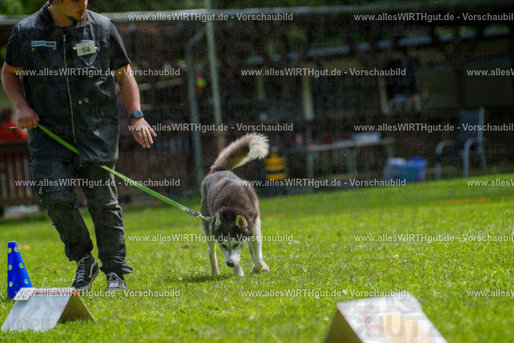 @allesWIRTHgut_Tierfotografie - www.allesWIRTHgut.de - 7R500944 | Professionelle Tierfotografie in Mönchengladbach von Daniel Wirth (allesWIRTHgut). Liebevolle & natürliche Bilder von Hunden & Katzen für unvergessliche Erinnerungen.