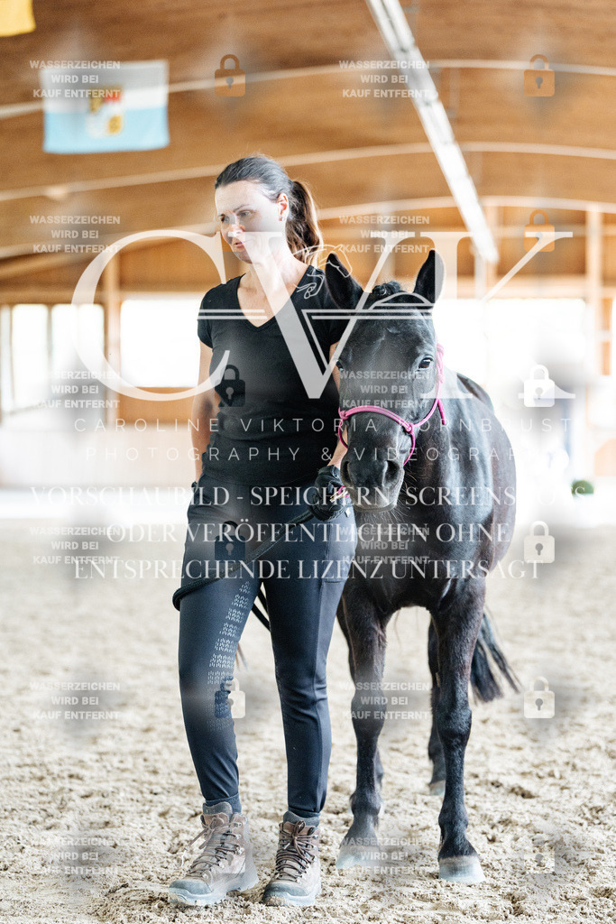 CK908381 | Turnierfotografie Pferdefotografie Trier Rheinland-Pfalz Pferdesport Reitsport Tierfotografie Sportfotografie Pferdevideo Pferdevideografie Equestrianvideography equestrianphotography  - Realisiert mit Pictrs.com