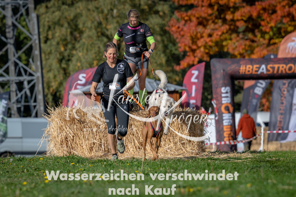 1026_ZZ90395 | kk-dogfotos
