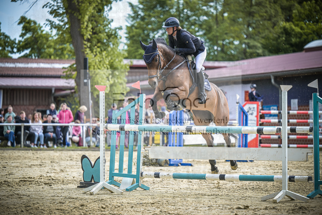 DOS_2579 | Entdecke hochwertige Reitturnierfotos von Foto Oger. Professionell, emotional und authentisch – jetzt Lieblingsmomente im Shop bestellen.Deutschlandweite Turnierfotografie. - Realisiert mit Pictrs.com