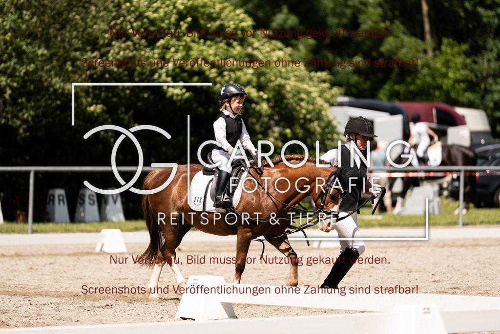 DSC01038 | Turnierfotografin Carolin Gieschke,Reitsport Turnierfotografie Carolin G Fotografie | Turnierfotos aus Kirchheim/Teck, Esslingen, Stuttgart und dem Bodenseekreis