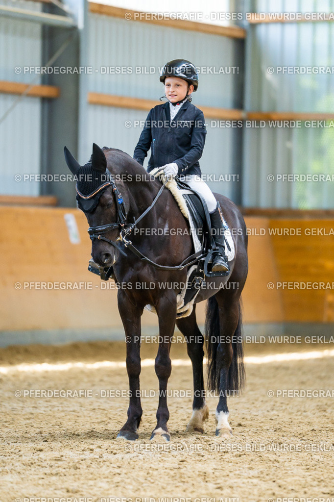 DSC09014 | Pferdegrafie