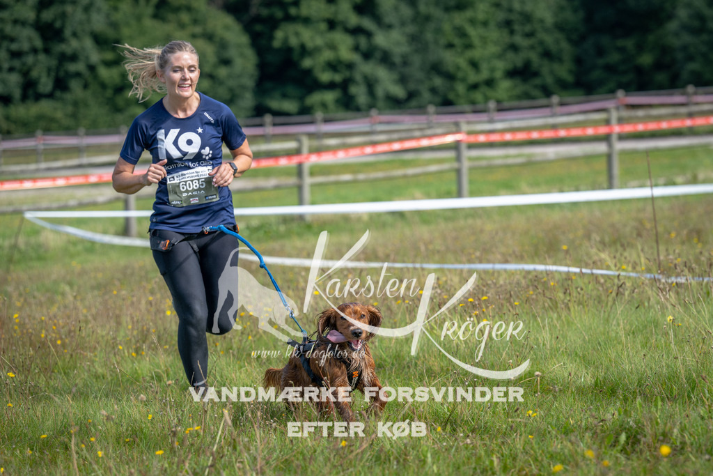1147_ZZ91602 | kk-dogfotos