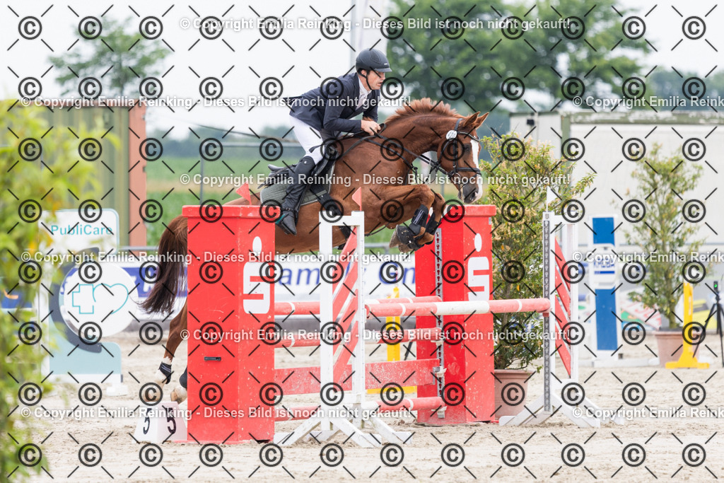 CL5A1993 | Emilia Reinking Fotografie - Realisiert mit Pictrs.com