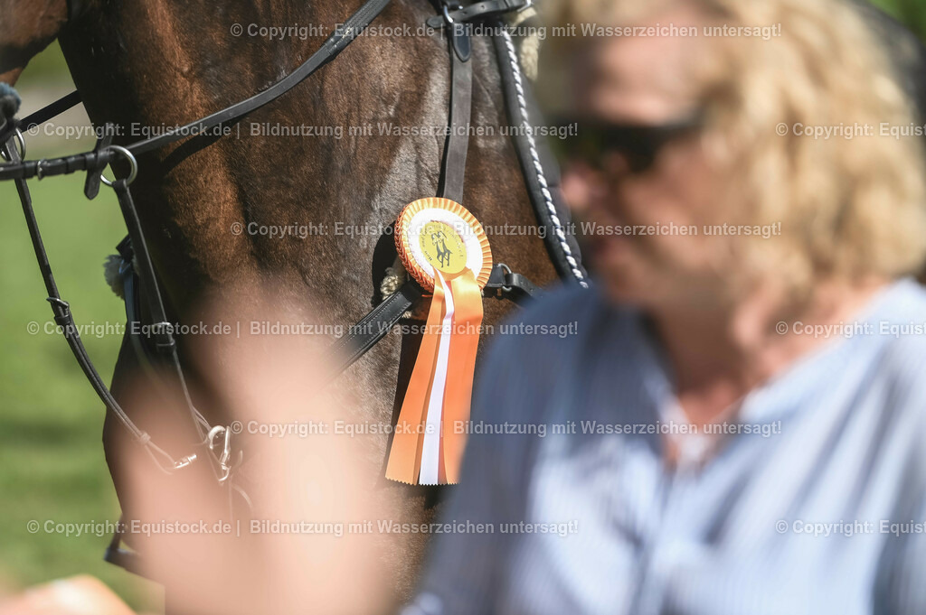 20230908_21_Punktespringen_M_0203-2 | equistock