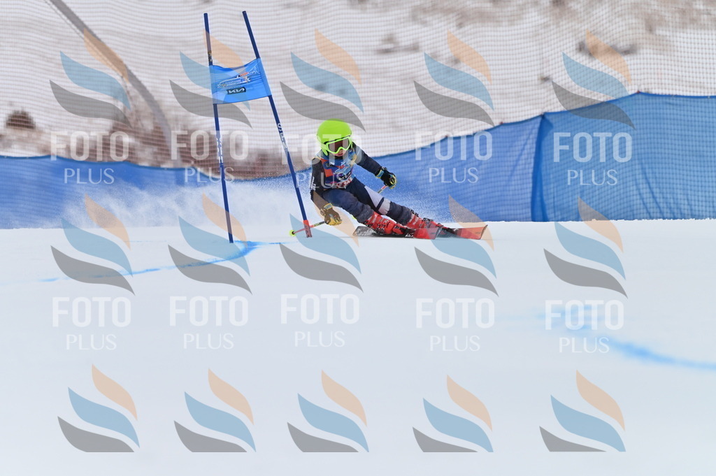 BGV_1104 | holidayphoto