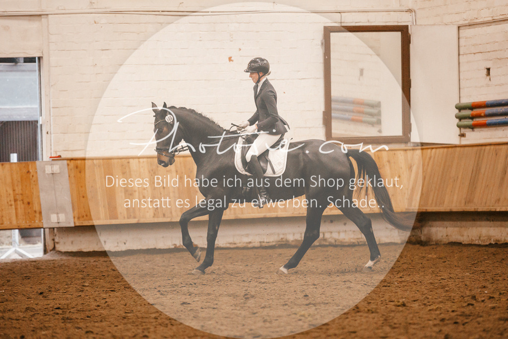 3I6A4545 | Stimmungsvolle Portraits und Reitsportfotografie im Ruhrgebiet und im Münsterland.

Pferdefotografie, Hundefotografie, Tierfotografie, Reportagen, Portraits von Tier und Mensch, Turnierfotografie in Bochum, Recklinghausen, Marl, Haltern am See, Dülmen.. - Realisiert mit Pictrs.com
