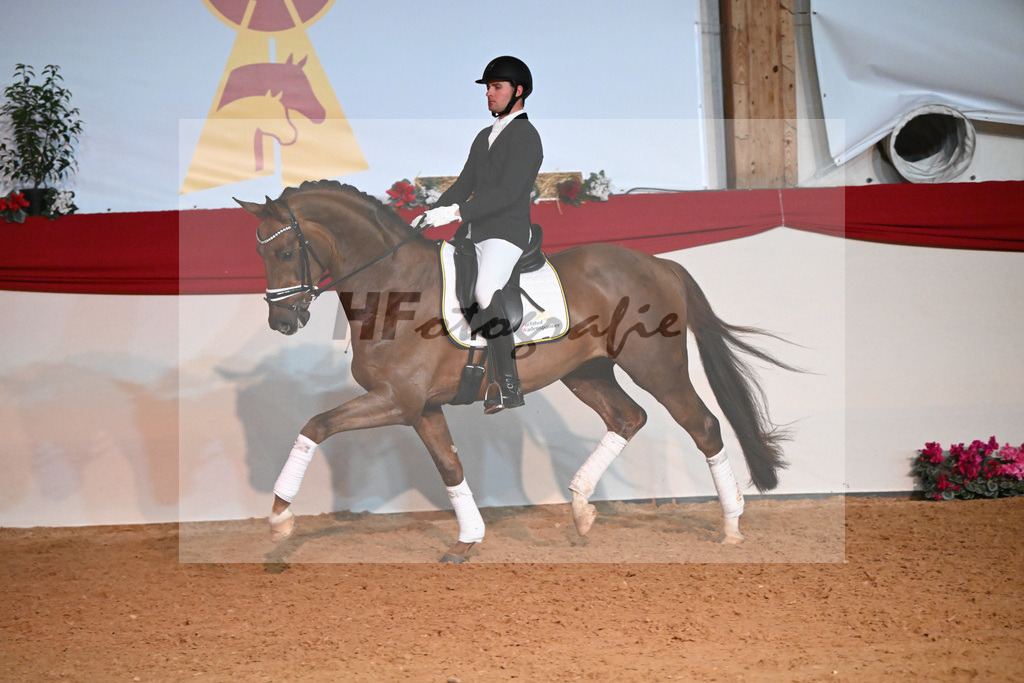 Feliciano_Wadenspanner_1234807 | hf-fotografie - Realisiert mit Pictrs.com