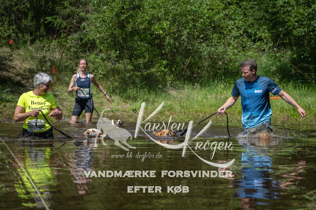 1305DKK993910 | kk-dogfotos