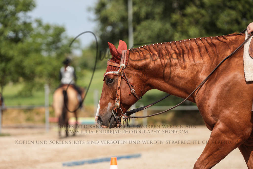 20230629-JuliaEndrejatPhotography-0239 | Julia Endrejat Photography