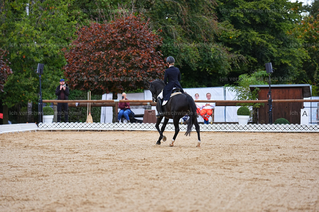 8_1-077-Klasse S_  -Marixx-4076 | working equitationturnier fotograf videograf stoibphotography marixx film working equitation deutschland reitsport turnierfotografie eventfotografie equestrian events