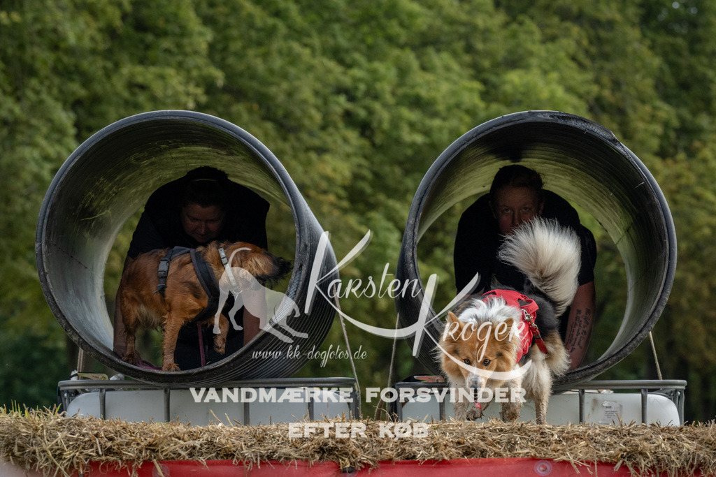1043_ZZ93024 | kk-dogfotos