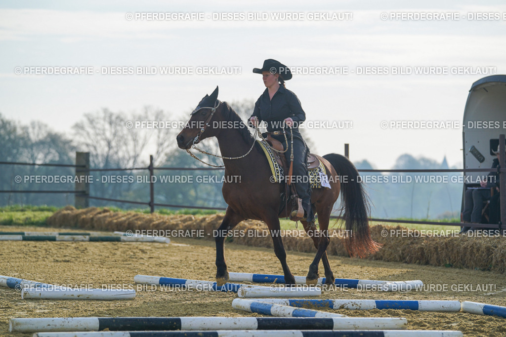 DSC00420 | Pferdegrafie