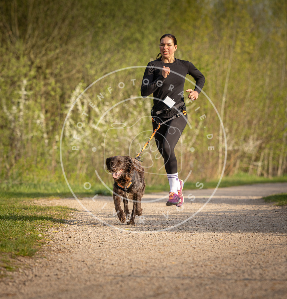 Pfotenfotografie_DV3A4611 | Hundefotografie, Tierfotograf, Pfotenfotografie, Fotoshooting Hund, Hunde Portrait, Hundesport, Hundeportraits, Heideshooting, Hunde, Sportfotograf, Hundefotograf, Turnierhundsport, THS,  - Realisiert mit Pictrs.com
