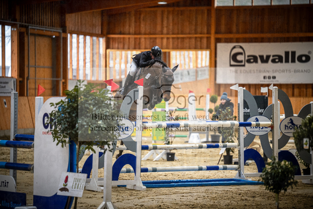 DOS_0519 | Entdecke hochwertige Reitturnierfotos von Foto Oger. Professionell, emotional und authentisch – jetzt Lieblingsmomente im Shop bestellen.Deutschlandweite Turnierfotografie. - Realisiert mit Pictrs.com