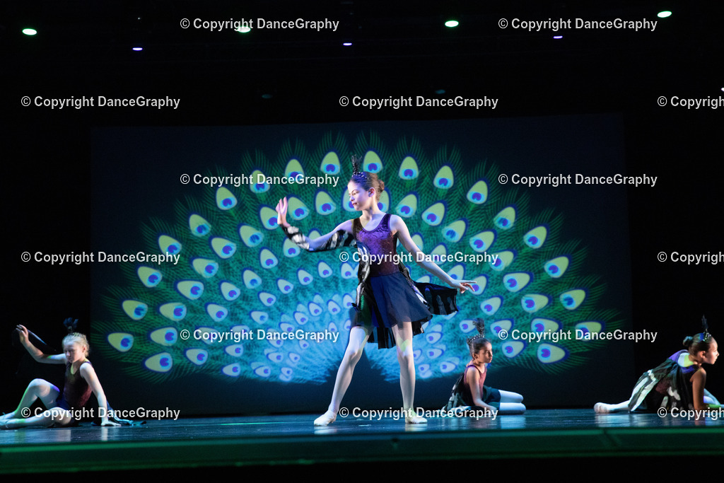 GPHY6156 | DanceGraphy - Realisiert mit Pictrs.com