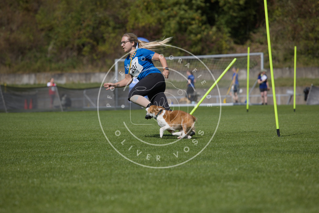 0L8A5843 | Hundefotografie, Tierfotograf, Pfotenfotografie, Fotoshooting Hund, Hunde Portrait, Hundesport, Hundeportraits, Heideshooting, Hunde, Sportfotograf, Hundefotograf, Turnierhundsport, THS,  - Realisiert mit Pictrs.com