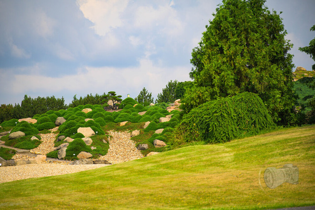 _DSC1370 | Shop für Prints Landschaftsfotografie Sächsische Schweiz Naturfotografie in Thüringen Fotos vom Findlingspark Nochten Kloster Sankt Marienstern Bilder Festung Königstein PanoramaRhododendronpark Kromlau FotogalerSchleswig-Holstein Küstenlandschaften