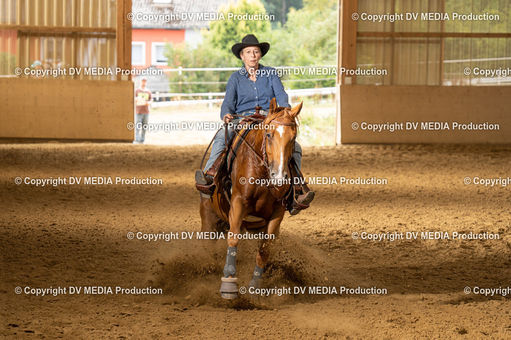 LAU01697 | dv-media-shop - Realisiert mit Pictrs.com