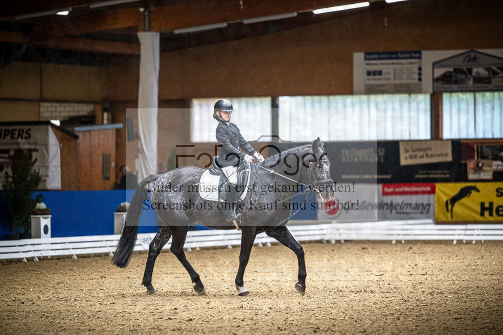 DOS_0153 | Entdecke hochwertige Reitturnierfotos von Foto Oger. Professionell, emotional und authentisch – jetzt Lieblingsmomente im Shop bestellen.Deutschlandweite Turnierfotografie. - Realisiert mit Pictrs.com