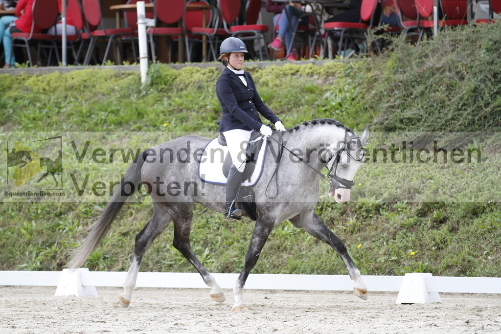 _MG_4443 | equestrian-live-com