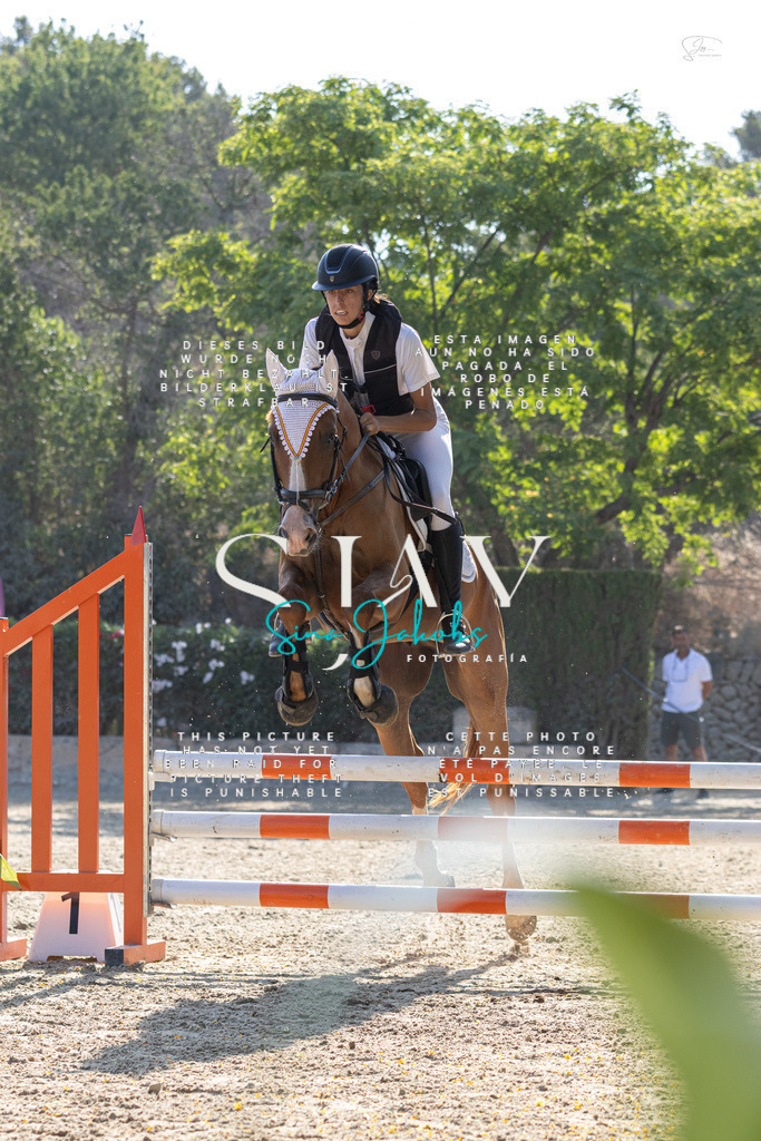 IMG_4710 | s-jay-photography - Realisiert mit Pictrs.com