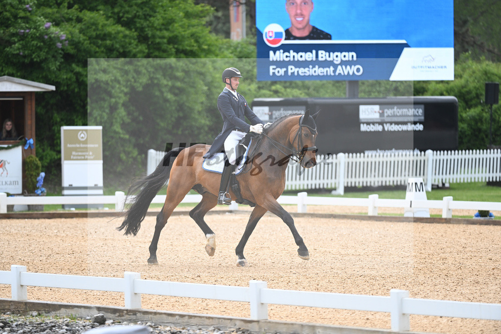 Bugan_For President Awo_11232577 | hf-fotografie - Realisiert mit Pictrs.com