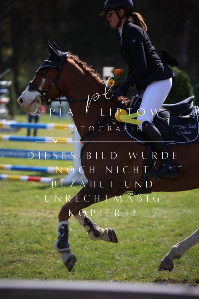 IMGT5761 | pl-fotografie