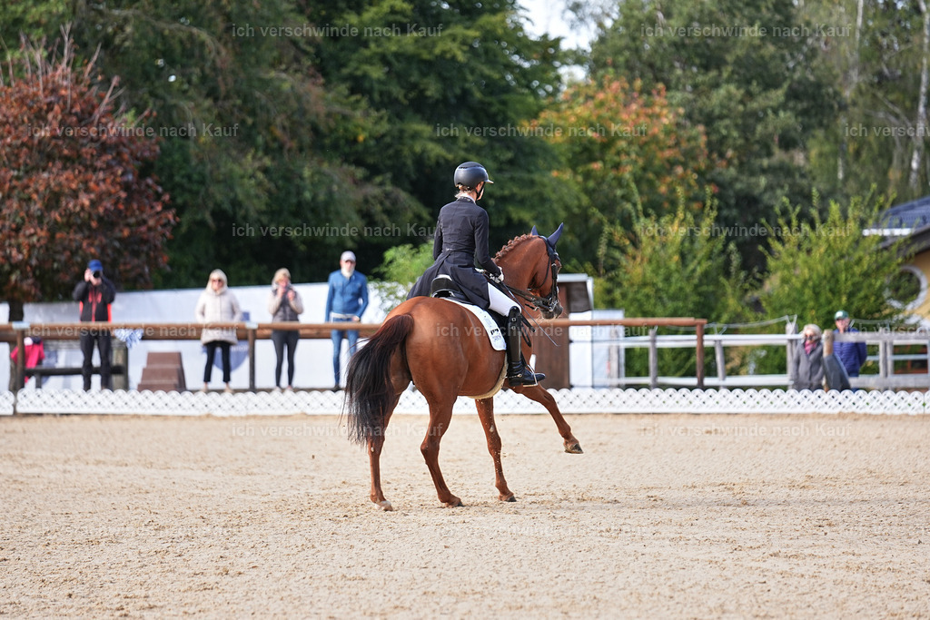 13-220-S___ -Marixx-7052 | working equitationturnier fotograf videograf stoibphotography marixx film working equitation deutschland reitsport turnierfotografie eventfotografie equestrian events