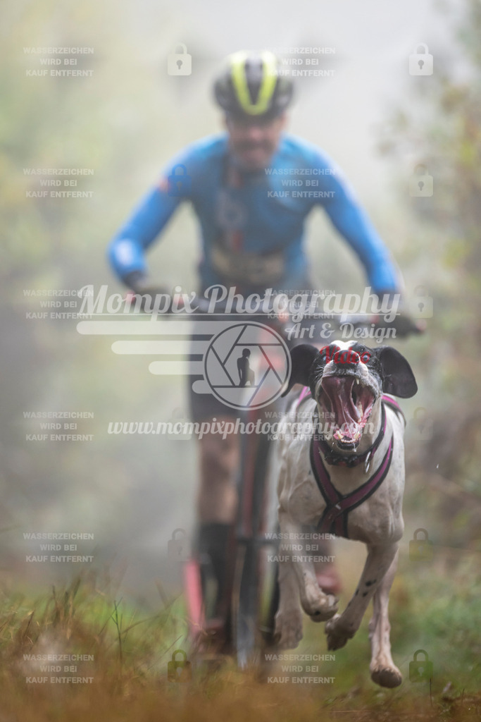 MompixPhotography_20TSB_E4_DS1-65 | PayLife