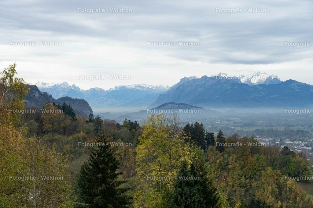 20221109 Rappenlochschlucht Dornbirn-16 | Fotografie Woldron