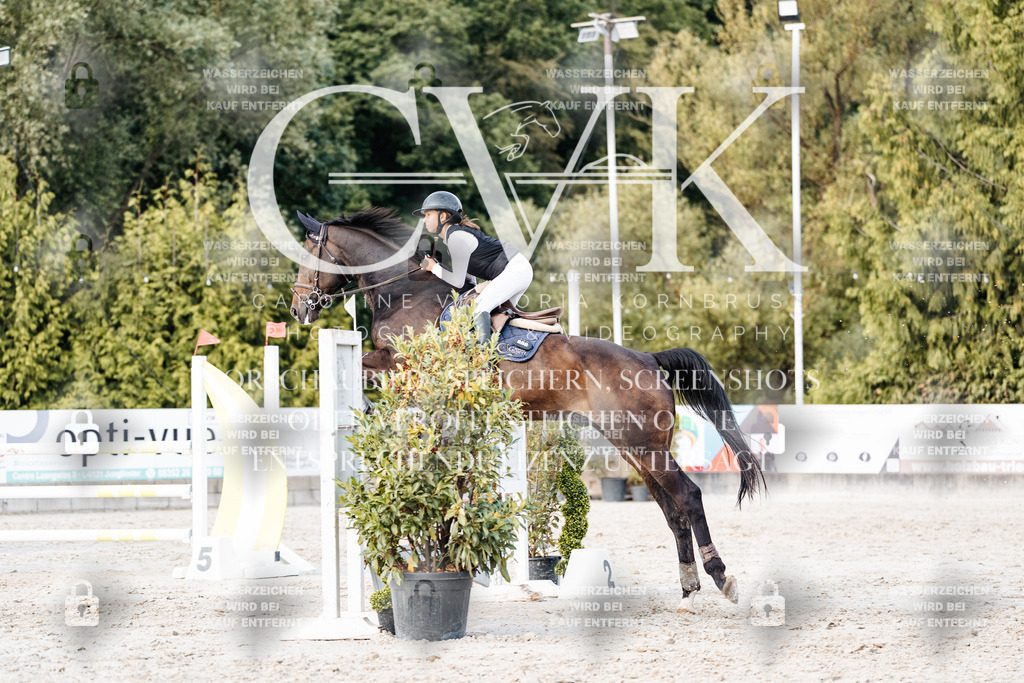 CK903963 | Turnierfotografie Pferdefotografie Trier Rheinland-Pfalz Pferdesport Reitsport Tierfotografie Sportfotografie Pferdevideo Pferdevideografie Equestrianvideography equestrianphotography  - Realisiert mit Pictrs.com