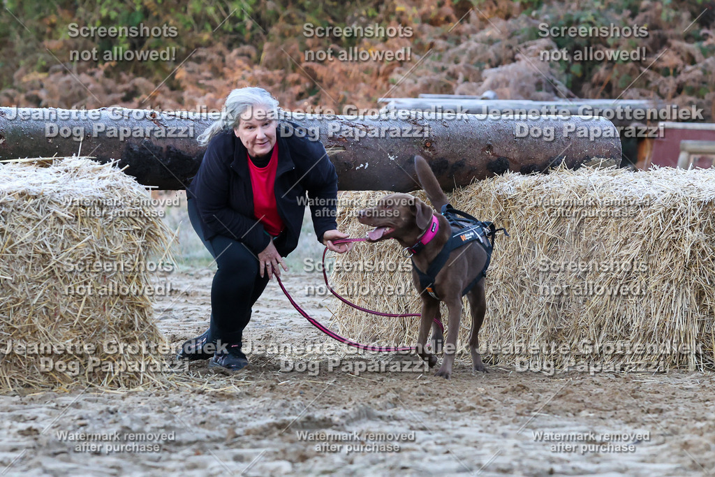 Dog Paparazzi - Strongdog 10-25-287 | Dog Paparazzi Jeanette Grottendiek Fotografie & Videografie - Realisiert mit Pictrs.com