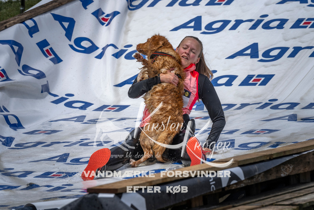 1128_ZZ92413 | kk-dogfotos