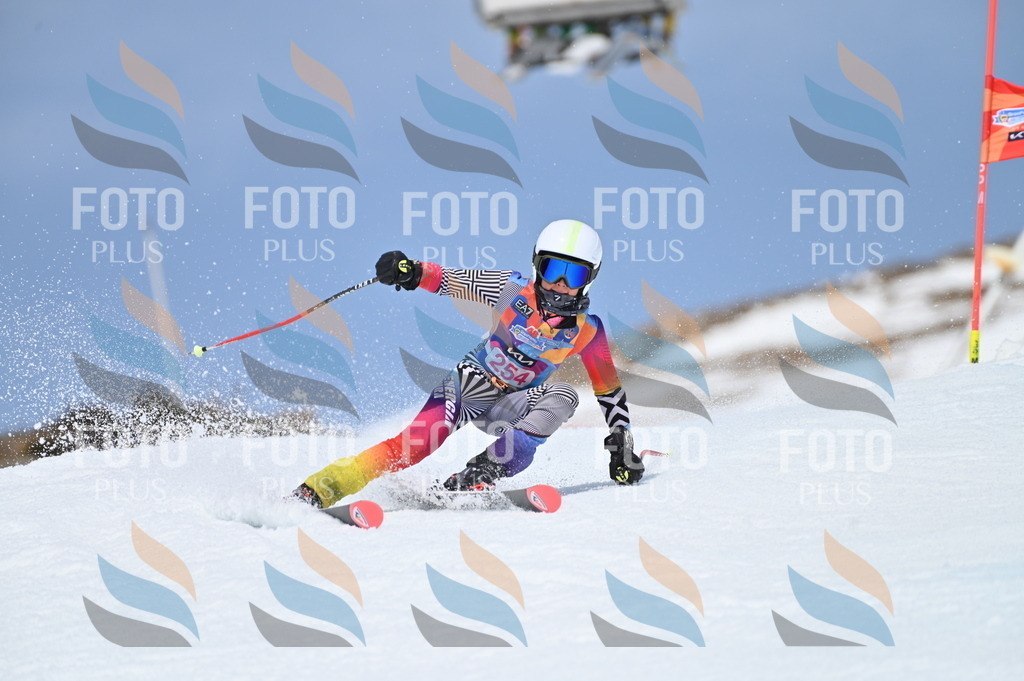 BGV_1956 | holidayphoto