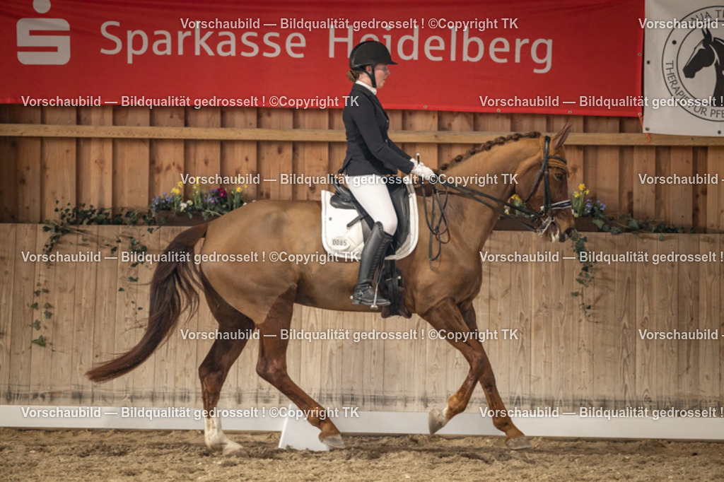 _D5A9425 | Emotionale Pferde- & People-Fotografie rund um Heidelberg, Leimen & Umgebung. Natürliche Fotos von Pferd, Mensch & Familie. Jetzt Termin sichern!