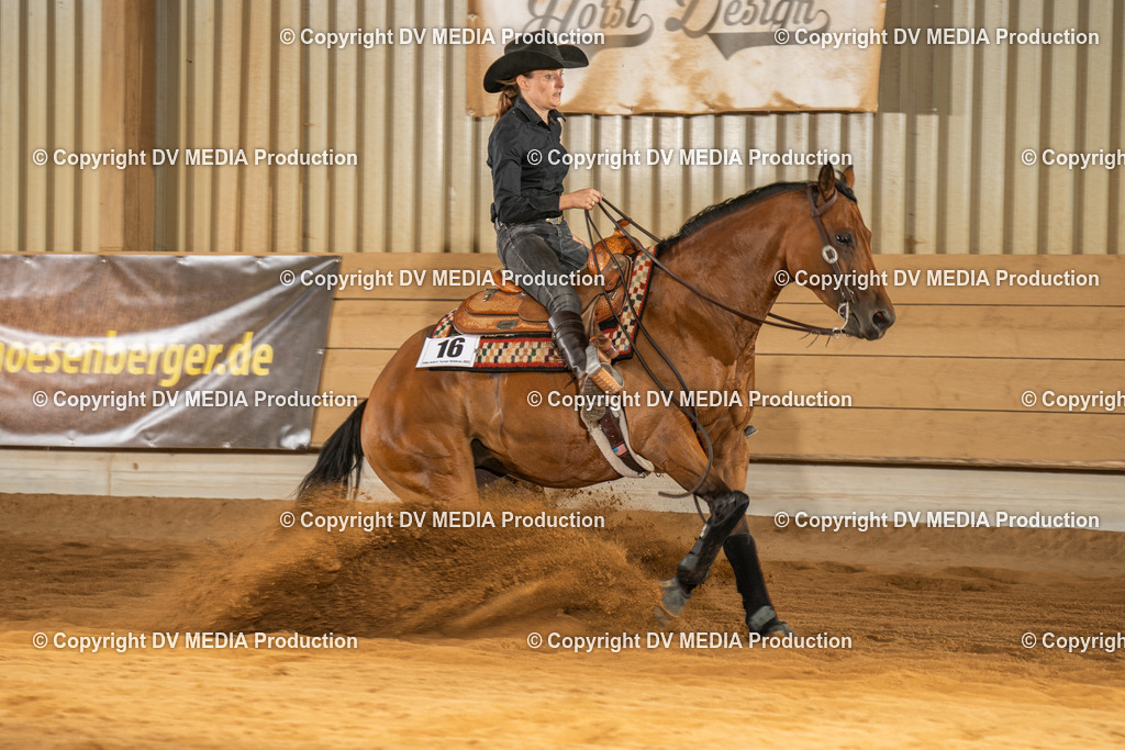 NID02024 | dv-media-shop - Realisiert mit Pictrs.com