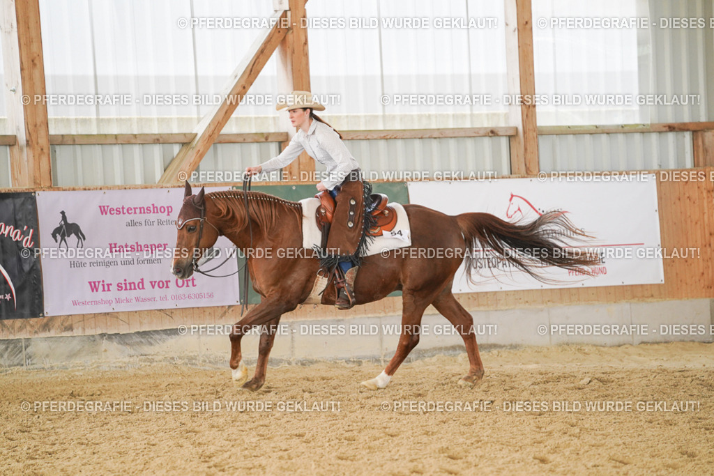 DSC01351 | Pferdegrafie