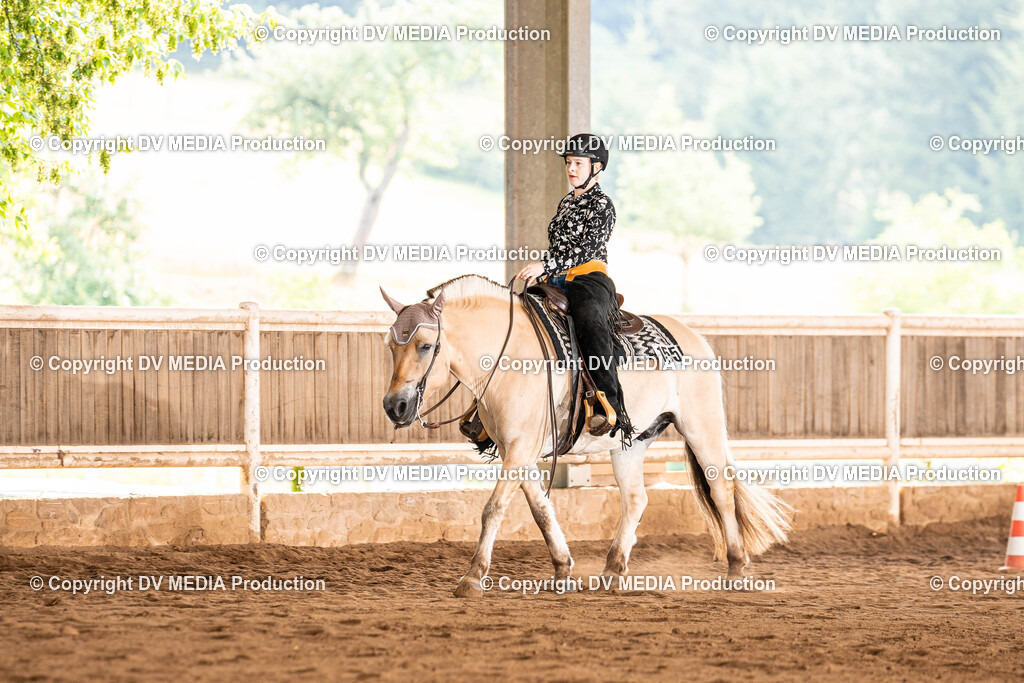 Erbach Tag 1-202 | dv-media-shop - Realisiert mit Pictrs.com