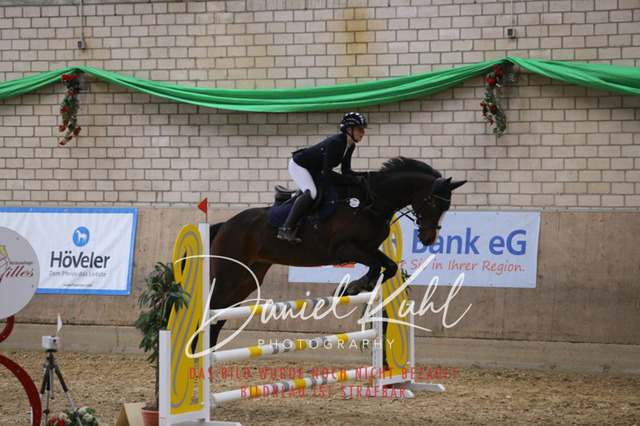 IMG_0624 | Turnierfotos kaufen im Webshop von Daniel Kuhl Photography – entdecke professionelle Reitsportfotos aus Turnieren & Events. Hochwertige Turnierbilder online bestellen & sichern. Jetzt Fotos von Reitsportturnieren kaufen!