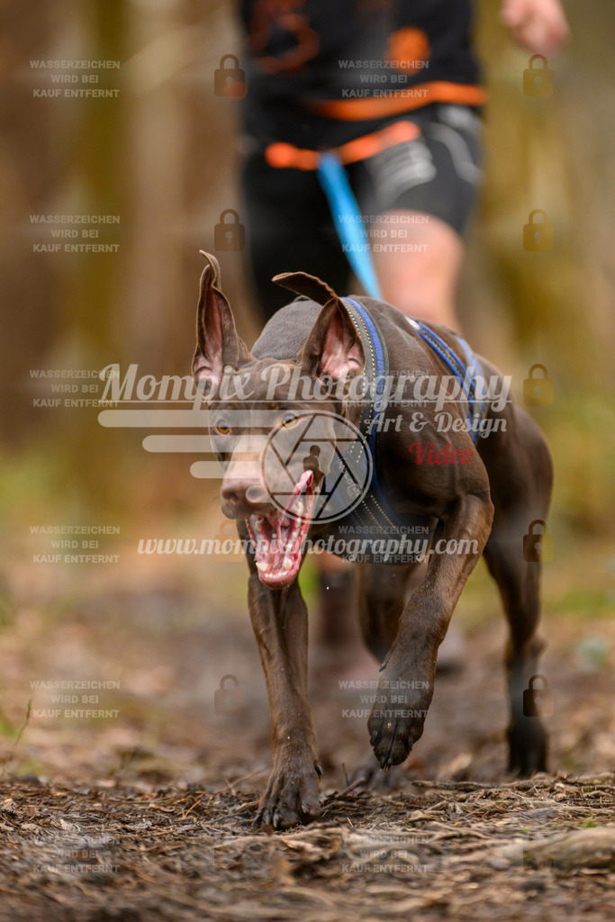MompixPhotography_CDSM24_SA_Fun-20 | PayLife