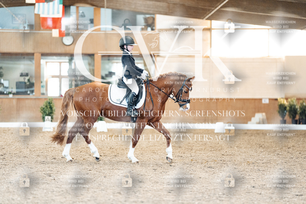 CK908186 | Turnierfotografie Pferdefotografie Trier Rheinland-Pfalz Pferdesport Reitsport Tierfotografie Sportfotografie Pferdevideo Pferdevideografie Equestrianvideography equestrianphotography  - Realisiert mit Pictrs.com