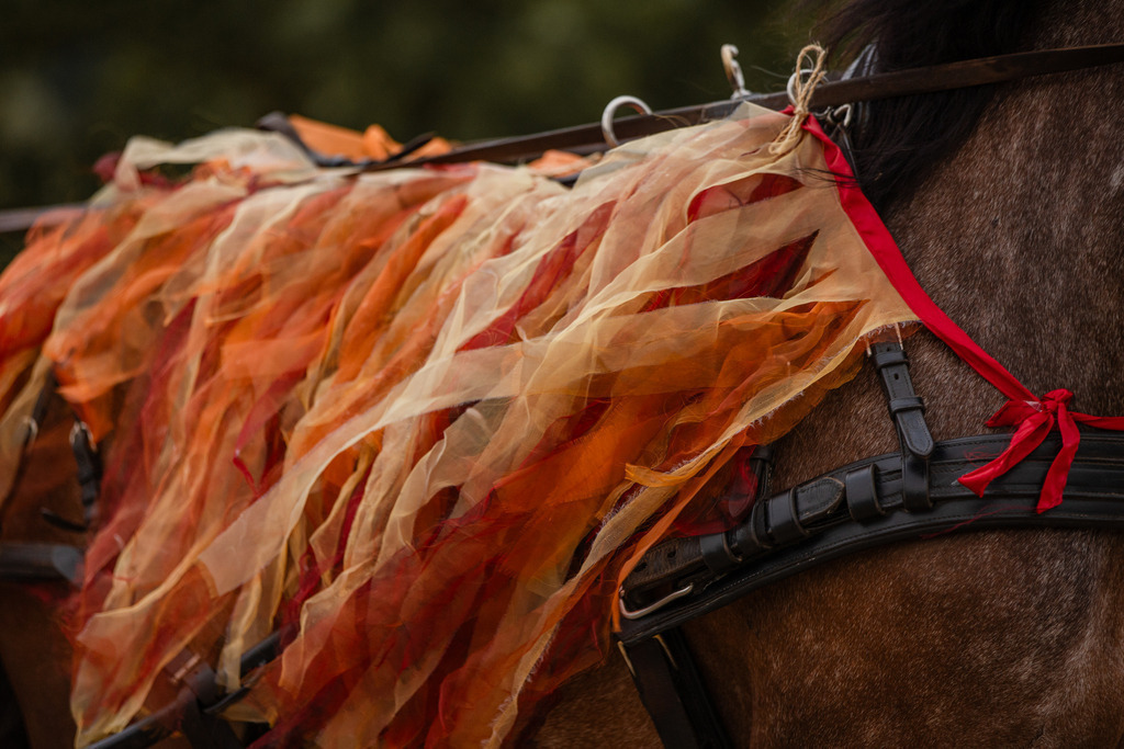 846A0155 | fotosleben - Realisiert mit Pictrs.com