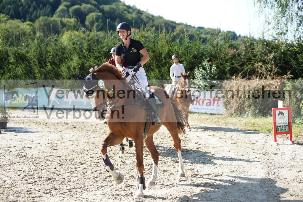 DSC01771 | equestrian-live-com