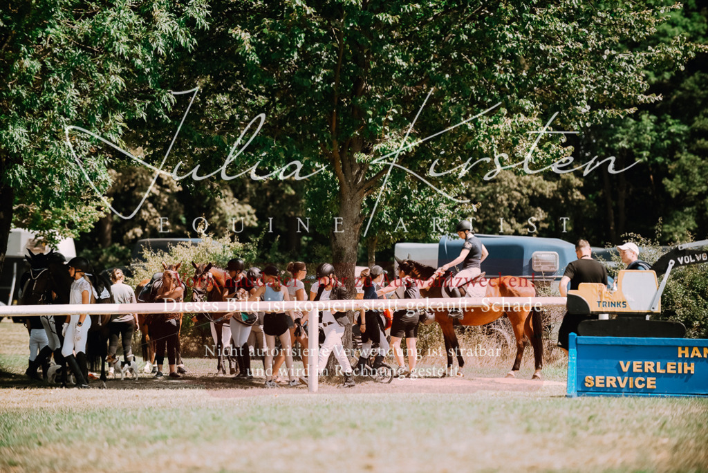 DSC_5936 | Pferde- und Turnierfotografie in Westsachsen. Pferdeportraits, Auftragszeichnungen und intuitive Kunst.