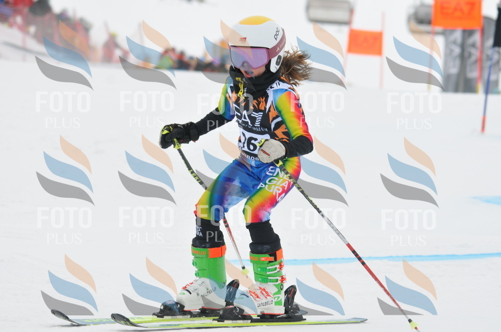 DSC_7518 | holidayphoto