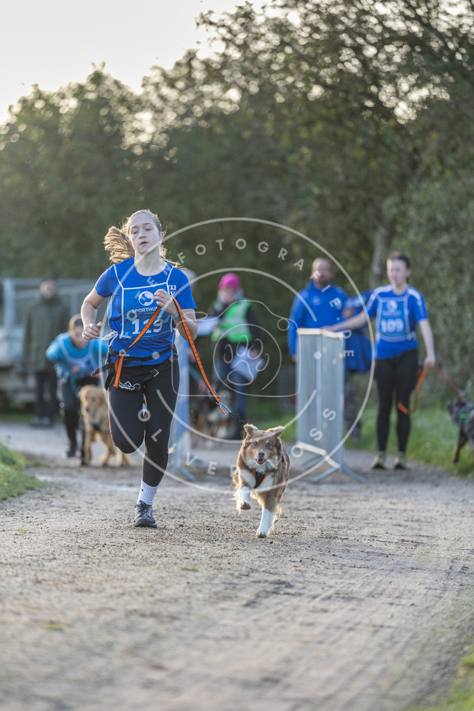 Pfotenfotografie.de_DV3A2506 | Hundefotografie, Tierfotograf, Pfotenfotografie, Fotoshooting Hund, Hunde Portrait, Hundesport, Hundeportraits, Heideshooting, Hunde, Sportfotograf, Hundefotograf, Turnierhundsport, THS, canicross - Realisiert mit Pictrs.com