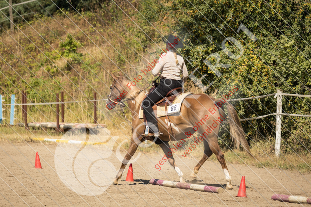 IMG_7477 | Sport-, Event- und Tierfotos in Profiqualität. Einfach auswählen, bestellen und herunterladen. Dein Moment – perfekt festgehalten.